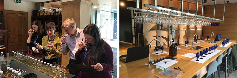 Spirits Competency System - Latest Version