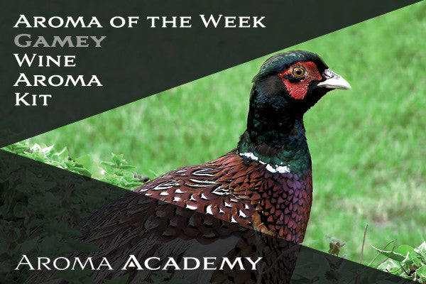 Aroma of the Week : Wine Aroma Kit : Gamey