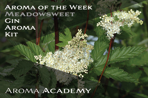 Aroma of the Week : Gin Aroma Kit : Meadowsweet