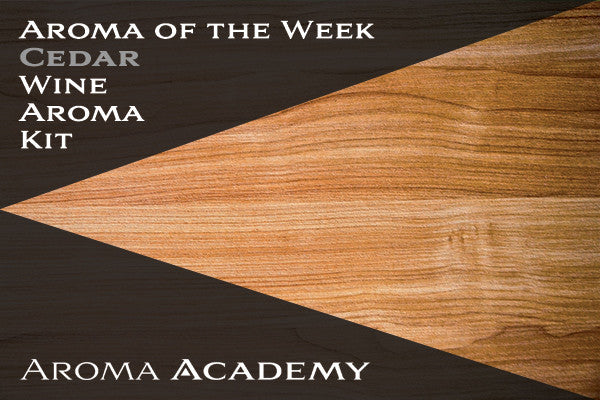 Featured Aroma of the Week : Wine Aroma Kit : Cedarwood
