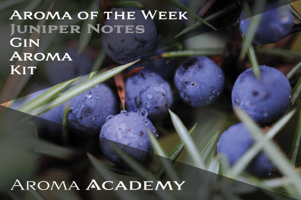 Aroma of the Week: Gin Aroma  Kit: Juniper Notes