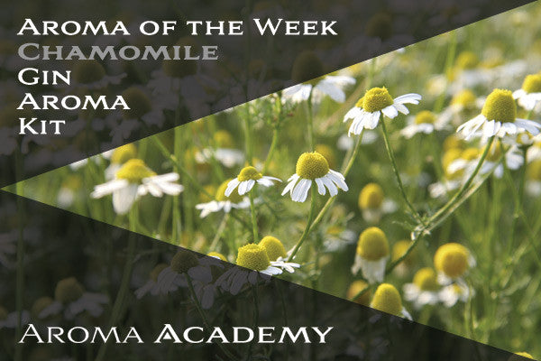 Aroma of the Week : Gin Aroma Kit : Chamomile