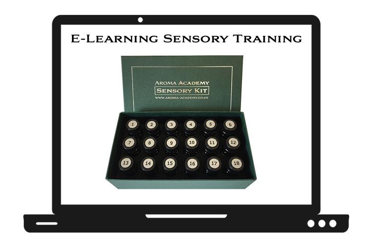 Online E-Learning : Sensory Foundation Course